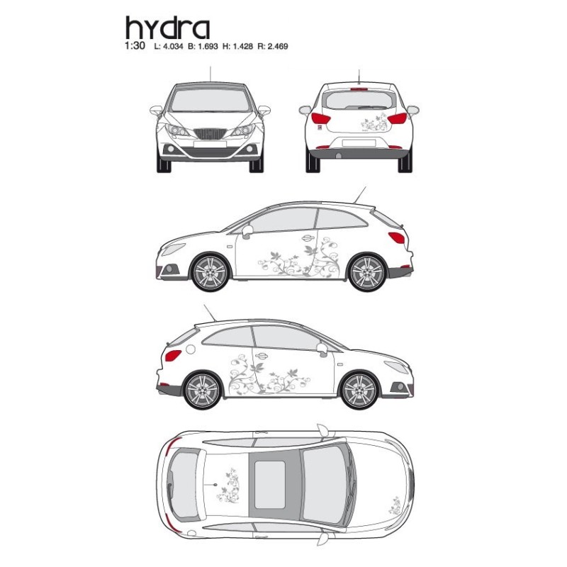 CAR DECO KIT HYDRA M ARGENT