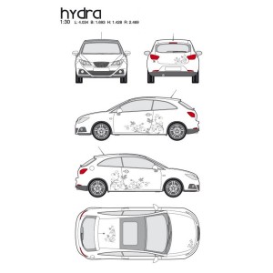 CAR DECO KIT HYDRA M ARGENT