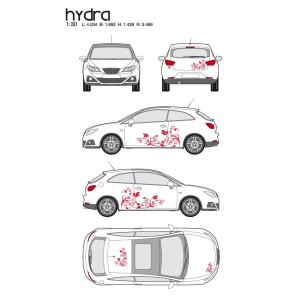 CAR DECO KIT HYDRA M ROUGE
