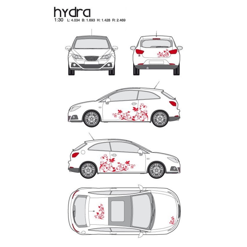 CAR DECO KIT HYDRA M ROUGE