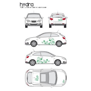 CAR DECO KIT HYDRA M VERT
