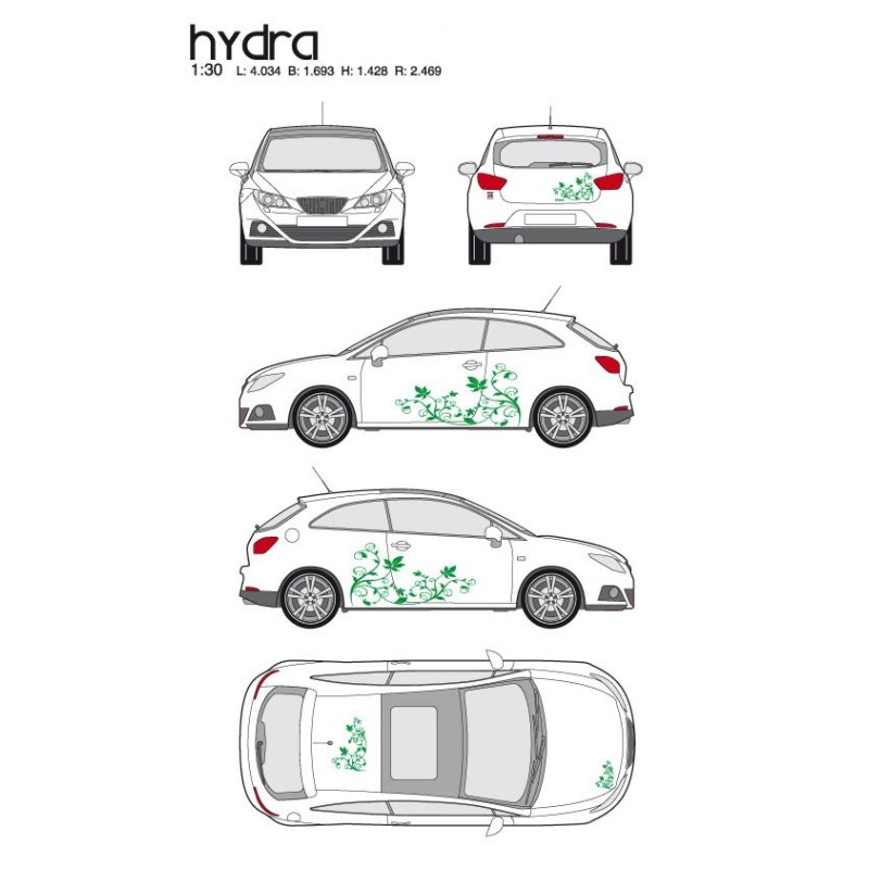 CAR DECO KIT HYDRA M VERT