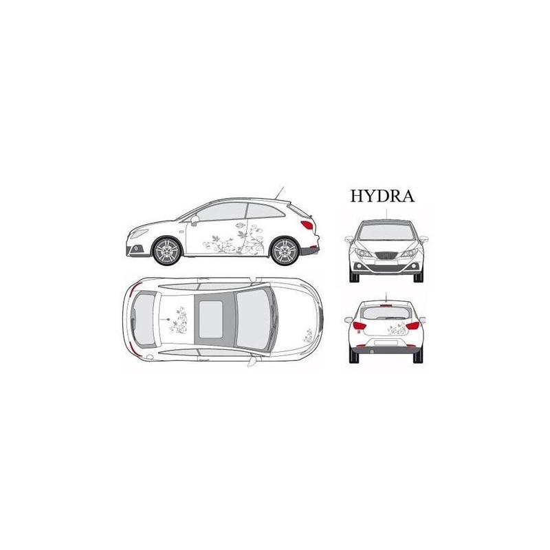 CAR DECO KIT HYDRA S ARGENT