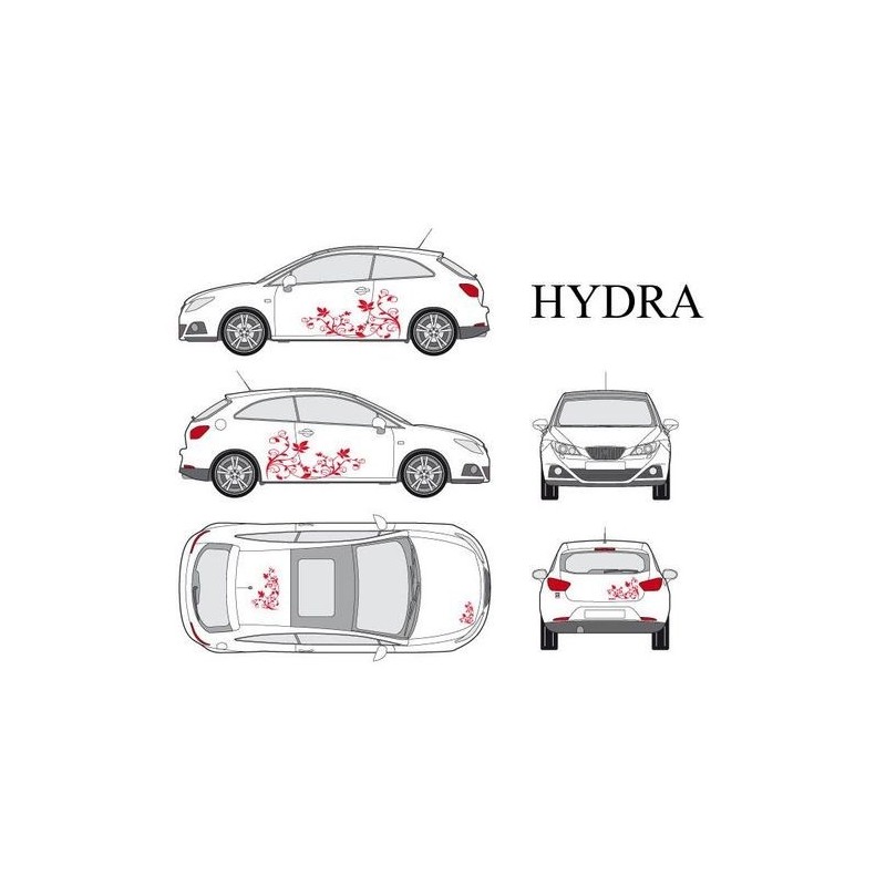 CAR DECO KIT HYDRA S ROUGE