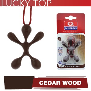 DESODORISANT LYCKY TOP BOIS DE CEDRE - MSDS