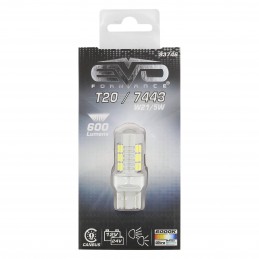AMP.LED S600 12/24W T20 W21/5W DBLE FILAMENT CANBUS-6500K BL.PURE-1PC