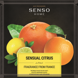 DISPLAY SACHET HOME LINE - 20 SACHETS 5 PARFUMS - MSDS - SCT