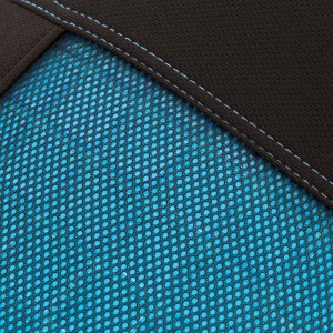 COUSSIN SWISS DRIVE GEL LOMBAIRE