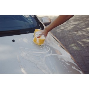 EPONGE DE LAVAGE 30*13*6CM BILLIONAIRE