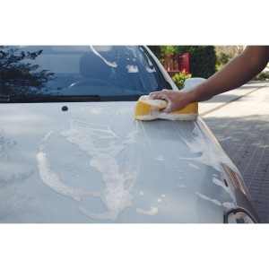 EPONGE DE LAVAGE 30*13*6CM BILLIONAIRE
