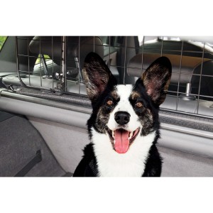 GRILLE DE SEPARATION AJUSTABLE POUR CHIEN
