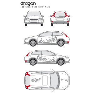 CAR DECO KIT DRAGON TAILLE M ARGENT-FDS