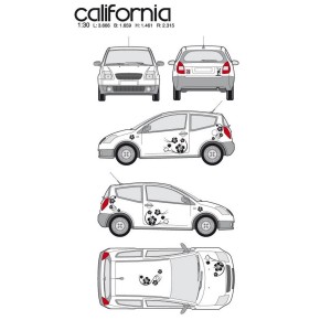 CAR DECO KIT CALIFORNIA TAILLE M NOIR - FDS