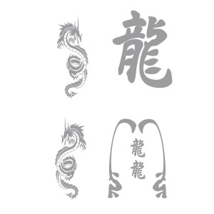 CAR DECO ELEMENT DRAGON GRIS -FDS