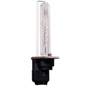 AMPOULE HID 6500K H1 - USC